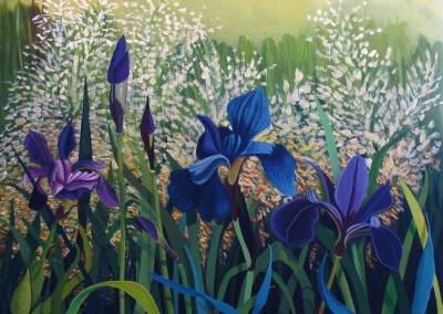 Irises In My Garden