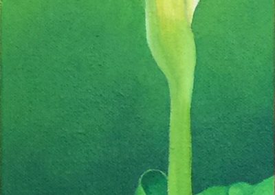 Green Lily